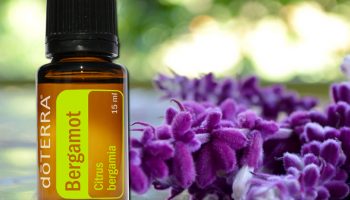 Working with Essential Oils